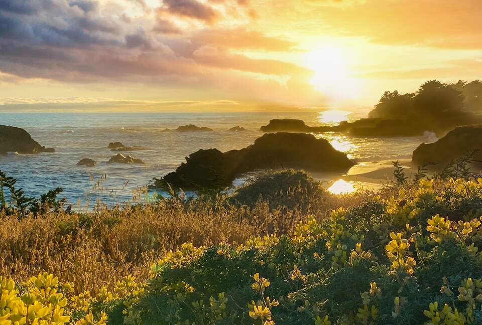 The Sea Ranch, photo 36 of 37
