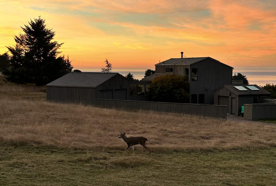 The Sea Ranch, photo 37 of 37